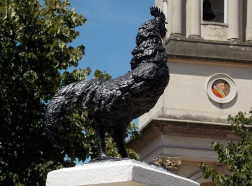 Gallo de Morón